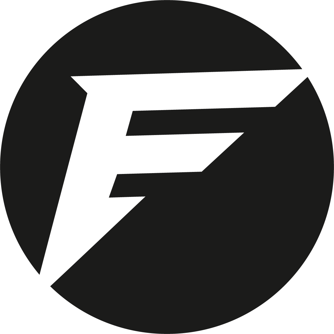 Logo Focus Fit F